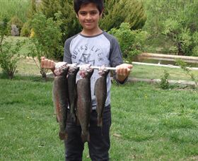 Eucumbene Trout Farm - Find Attractions 3