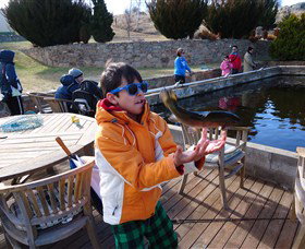 Eucumbene Trout Farm - Find Attractions 2
