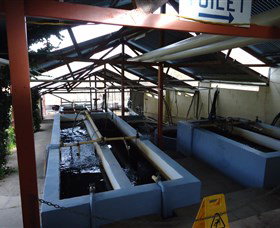 Eucumbene Trout Farm - Find Attractions 5