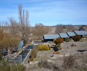 Eucumbene Trout Farm - Find Attractions 6