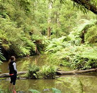 Morwell National Park - Find Attractions