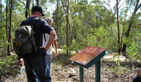 Book Laguna Accommodation Vacations Find Attractions Find Attractions