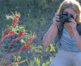 Kalamunda National Park - Find Attractions 1