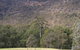 Bangadilly National Park - thumb 0