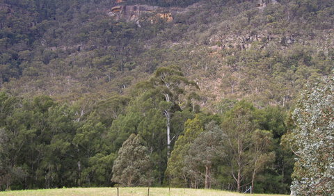 Bangadilly National Park - Find Attractions 0