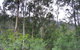 Bangadilly National Park - thumb 1