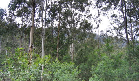 Bangadilly National Park - Find Attractions 1