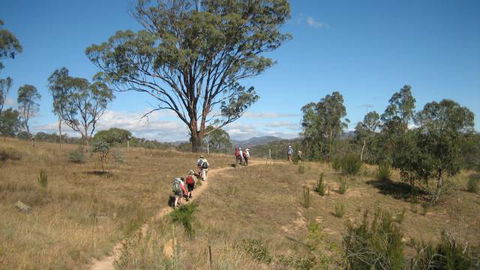 Kambah Pool To Pine Island - Find Attractions 3