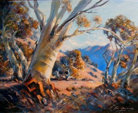 Kunama Snowy Mountains Centre For The Arts - Find Attractions 0