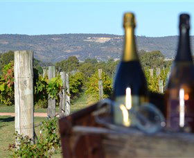 Ugly Duckling Wines - Find Attractions 1