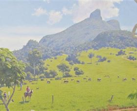 Aitkens Australia In The Round - Find Attractions 2