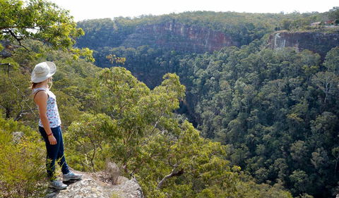 Glenbrook Gorge Track - Find Attractions 2