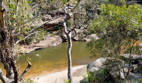 Glenbrook Gorge Track - Find Attractions 1