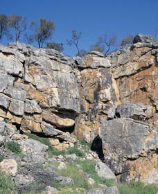 Badgingarra Nature Trail - Find Attractions 0