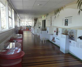Kanyana Wildlife Rehabilitation Centre - Find Attractions 1