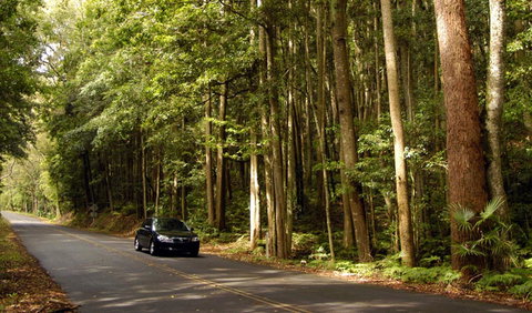 Greater Blue Mountains Drive - Find Attractions 0