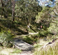 Wollomombi walking track - Find Attractions
