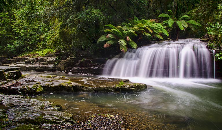 Sugarloaf ACT Find Attractions