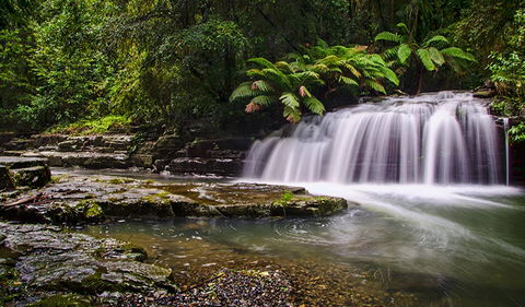 Rocky Crossing Walk - Find Attractions 0