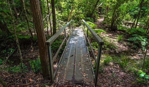 Rocky Crossing Walk - Find Attractions 2