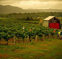 Around Hermitage Wine and Food Trail Hunter Valley - Find Attractions