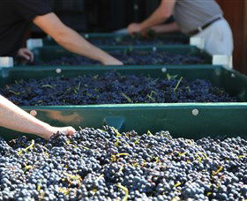 Around Hermitage Wine And Food Trail Hunter Valley - Find Attractions 6
