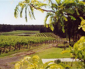 Tintilla Estate - Find Attractions 0