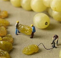 Hunter Valley Wine School - Find Attractions