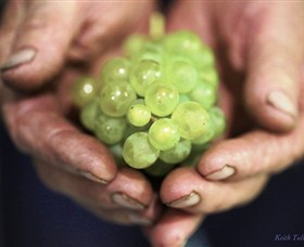 Keith Tulloch Wine - Find Attractions 1