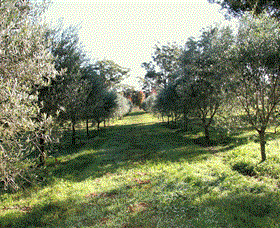 Langdale Farm - Find Attractions 0