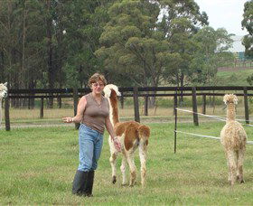 Langdale Farm - Find Attractions 4