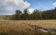Mummel Gulf National Park - thumb 0