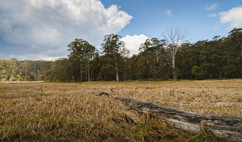 Mummel Gulf National Park - Find Attractions 0