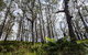 Mummel Gulf National Park - thumb 1