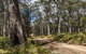 Mummel Gulf National Park - thumb 2