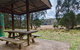Mummel Gulf National Park - thumb 3