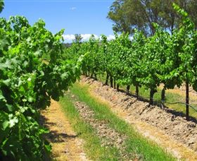Misty Glen Wines And Cottage - Find Attractions 1