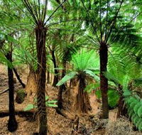 Pegarah Private Nature Reserve  Parenna Place - Find Attractions