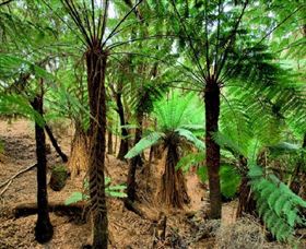 Pegarah Private Nature Reserve & Parenna Place - Find Attractions 0