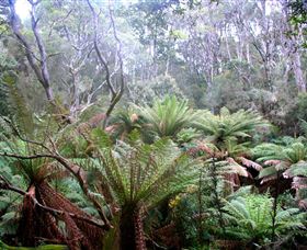 Pegarah Private Nature Reserve & Parenna Place - Find Attractions 1