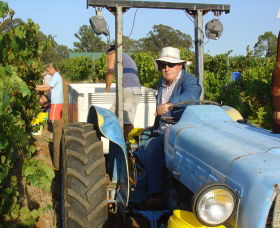 Pokolbin Brothers Wines Hunter Valley - Find Attractions 1