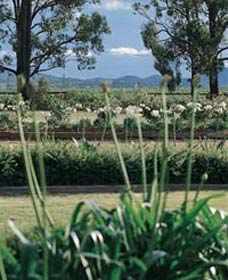 Vinden Estate Wines - Find Attractions 1