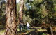 Tallaganda National Park - thumb 0