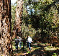 Tallaganda National Park - Find Attractions