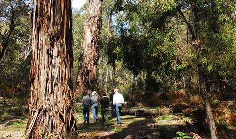 Tallaganda National Park - Find Attractions 0
