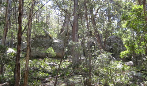 Tallaganda National Park - Find Attractions 2