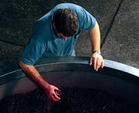 Calais Estate Wines - Find Attractions 2
