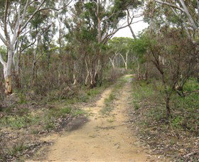 Box Vale Picnic Area - Find Attractions 4
