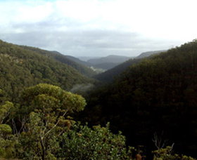 Nattai Gorge Lookout - Find Attractions 0