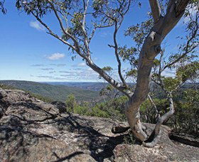 Nattai Gorge Lookout - Find Attractions 1